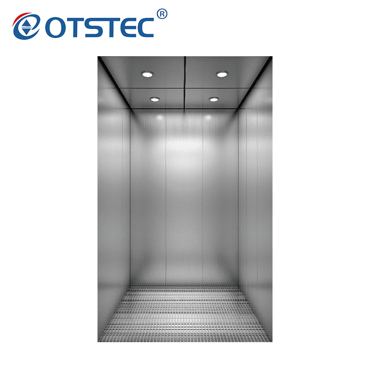Simple 6 Persons Residential Multiple Styles Passenger Elevator