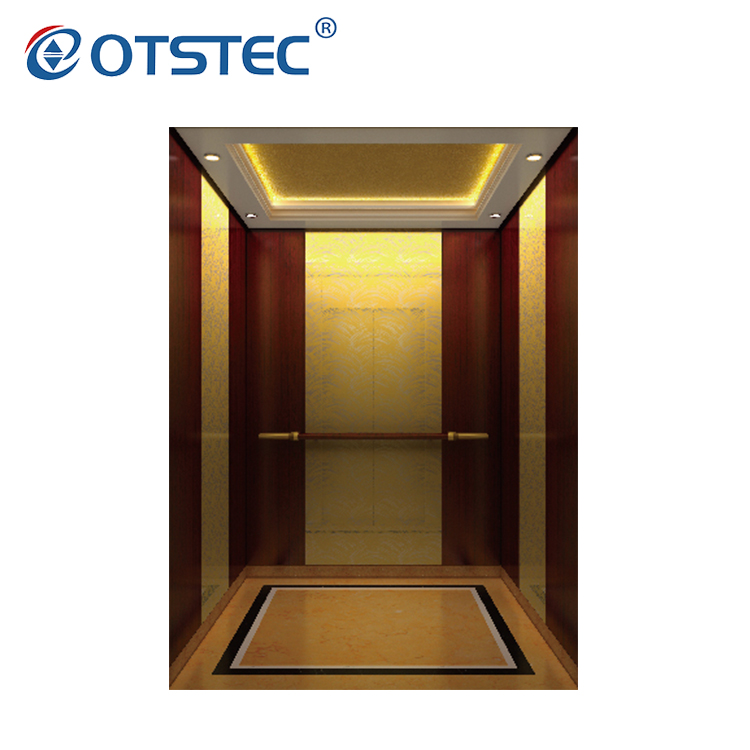 Good Quality Luxury Machine Room Small Home Hotel building Passenger elevator lift