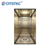 Titanium Mirror Etched Stainless Steel Modern Design Home Elevator