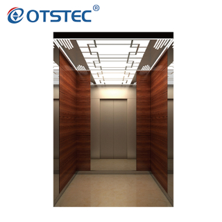 Economic And Customized Design Elevator Passenger Lift Supplier With CE Certifications