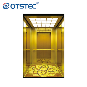 Auto Home Passenger Elevator For Home Use