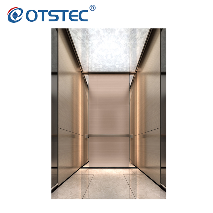 630Kg 8 Persons Passenger Lift Elevator with Standard Design China Factory